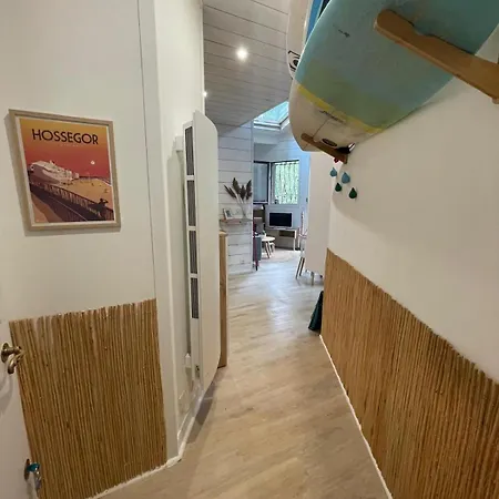 Apartment Hossegor - - Foret - Couple - Piscine