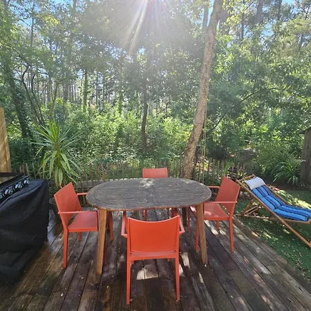 Apartment Hossegor - - Foret - Couple - Piscine *