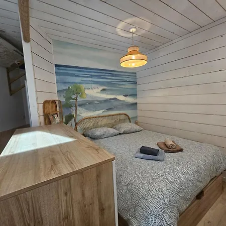 Hossegor - - Foret - Couple - Piscine * 索尔特奥瑟戈尔